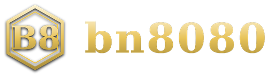 bn8080 logo